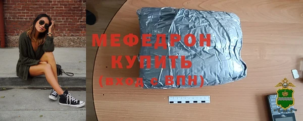 сатива Бородино