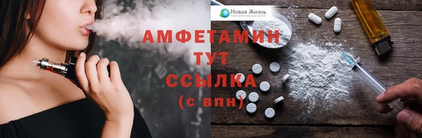 сатива Бородино