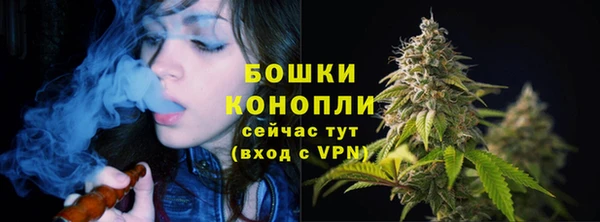 стафф Беломорск