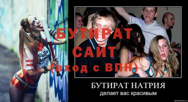 сатива Бородино