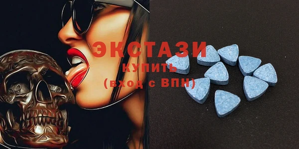 сатива Бородино