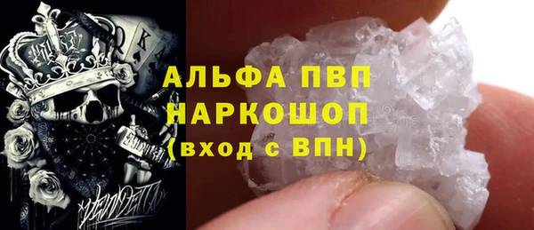 сатива Бородино