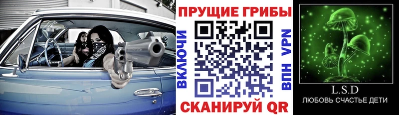 как найти закладки  Калач-на-Дону  Псилоцибиновые грибы мицелий 